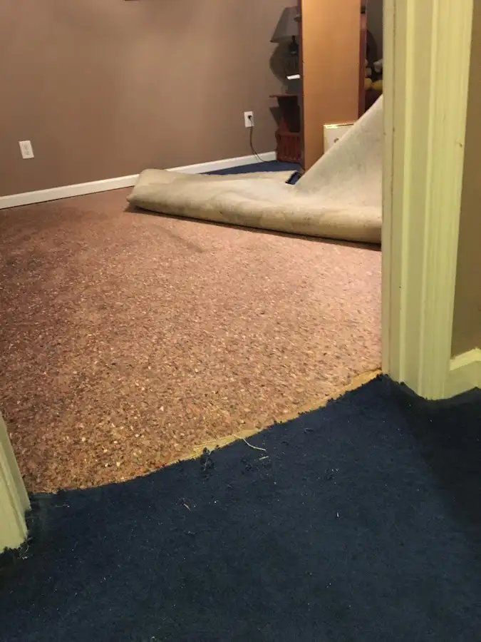 Carpet pad removal revealing water damage during Water Mitigation Services in Fairland