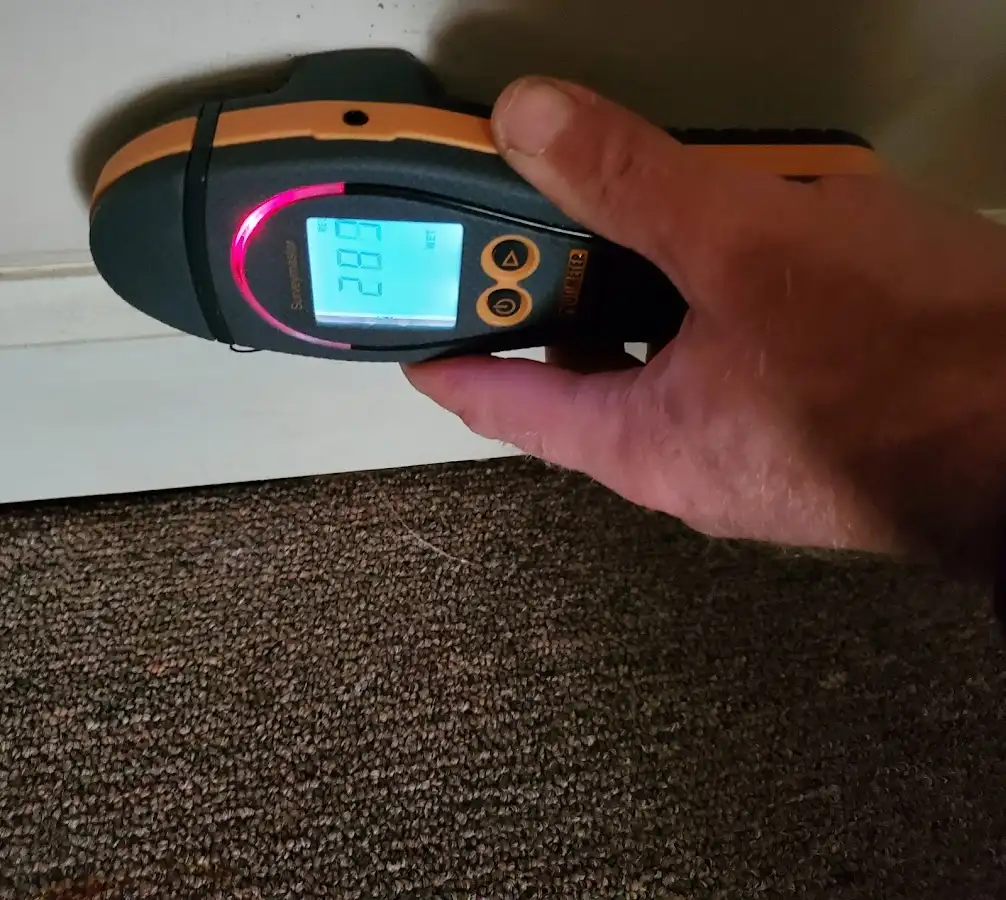 Moisture detection at baseboard during Mold Inspection & Testing in Fairland